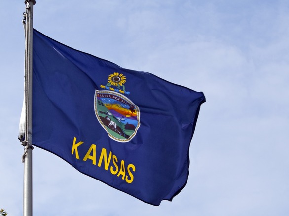 Kansas State Flag